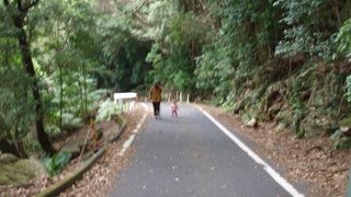 携帯が通じないので注意。