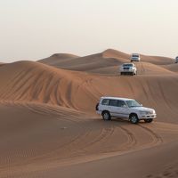 デザート サファリ