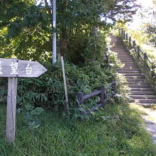 展望台へ続く遊歩道の様子