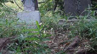 公園森の中、石祠と石碑の神社・・大和市福田