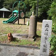 森みはらし公園が綺麗になりました。