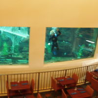 ホテル内の大きな水槽