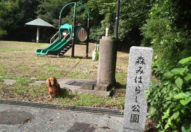 森みはらし公園が綺麗になりました。