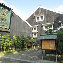 是非杉玉を見てほしいです