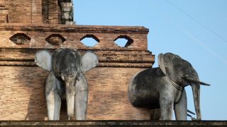 ぞうさんこんにちは！