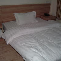 思いのほか綺麗なフカフカベットで大満足。