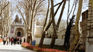 朝一番に行くに限る。