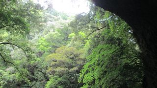 清々しい気持ちになれる神社