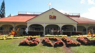 突如あらわれます!!