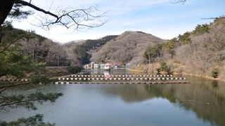 楽しみはヘラブナ釣りだけじゃないですね