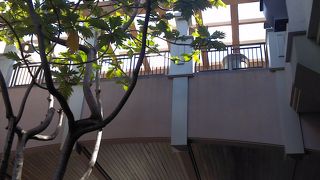 寝不足初日からまずはアラモアナ！