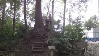 三宝寺池北側の殿塚の近くにあります