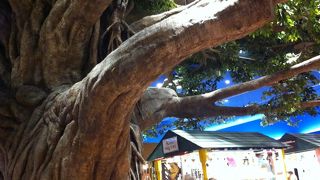 ガーリックシュリンプ美味しい～