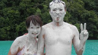 もりだくさんです