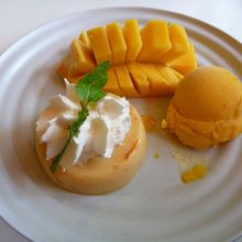 マンゴー・タンゴ