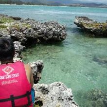 カヤックでポポイア島上陸