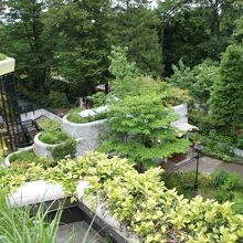 緑が溢れています