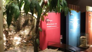 工夫された展示が面白い