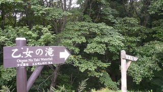 滝壺近くまで行けます