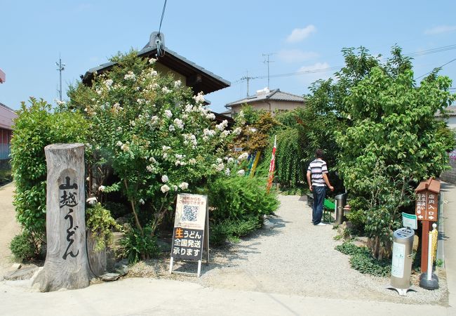 山越うどん クチコミ アクセス 営業時間 綾川 フォートラベル