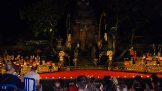 睡蓮が浮かぶ池が印象的です！