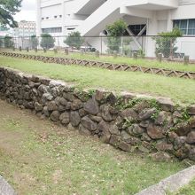 これが元寇防塁です