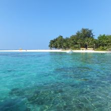 やはり海の透明度は凄いです