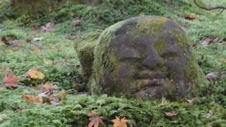 【穏やかな表情に癒されます】　京都 ・ 大原三千院