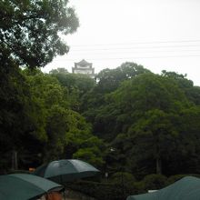 坂の下から眺める丸亀城