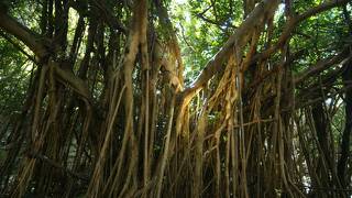 時間があれば行きたいところです。