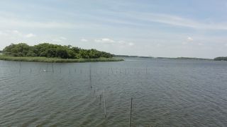 窓越しに見た沼でも大きかったです。