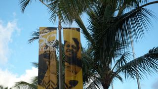 見ごたえのあるショーです。