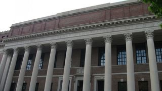 広大なキャンパスをお散歩できます