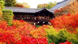 紅葉見るなら東福寺