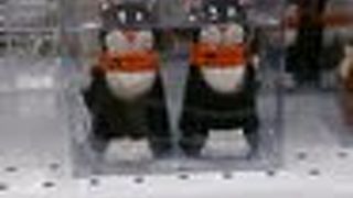 ワンピースが豊富