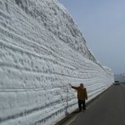 八甲田山雪の回廊