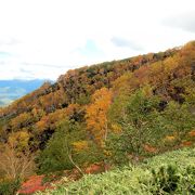 赤岳登山口よりもっと登らないと眺望はよくありません。