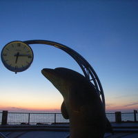 ノシャップ岬に近いです。