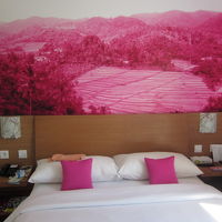 狭い部屋でしたが何故か落ち着きました。