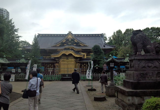 全体が絵になります