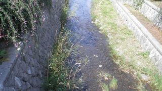 秋の風情の創成川