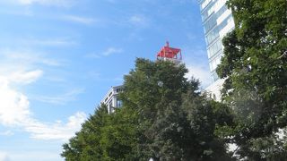 新鮮なとうきびがおいしい♪