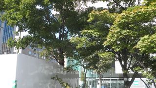 歌詞にあるような風情になっていた