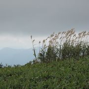 のんびりお散歩 道後山