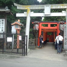 花園神社の赤い鳥居をくぐり抜けます