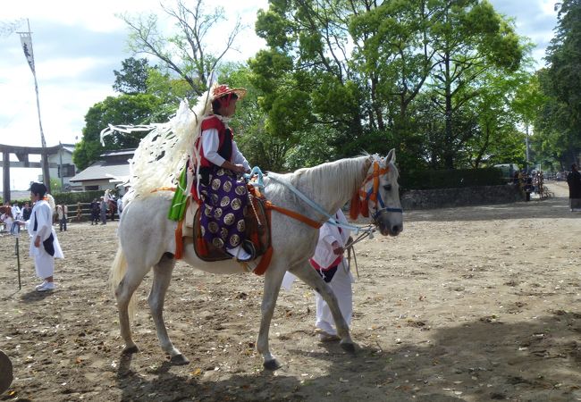 矢は撃たないけど迫力の流鏑馬