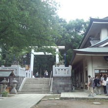 京成上野駅から坂をのぼると白っぽい鳥居あり