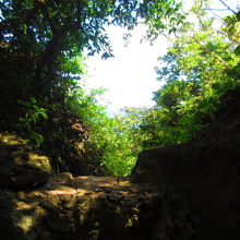 久高島が見えます