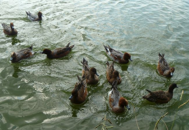 幸公園