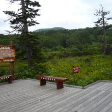 歩いて歩いてたどりつきました！